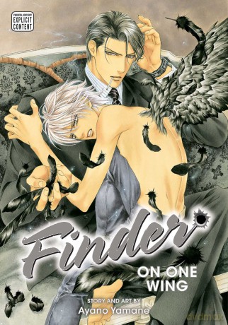 Finder Deluxe Edition: On One Wing: Vol. 3: Volume 3 - Ayano Yamane [KSIĄŻKA]