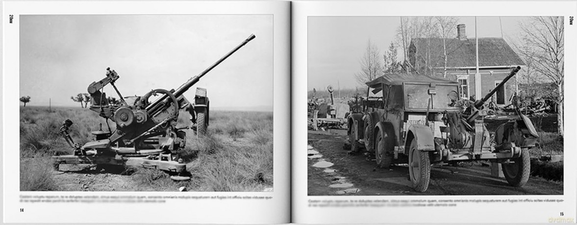 FLAK: German Anti-Aircraft Weapons - Tom Laemlein [KSIĄŻKA]