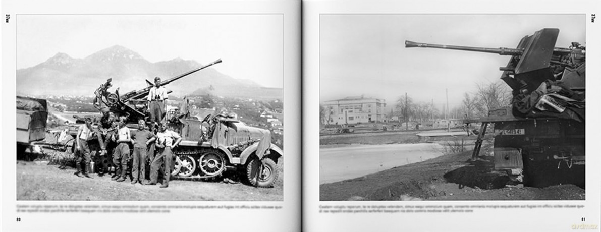 FLAK: German Anti-Aircraft Weapons - Tom Laemlein [KSIĄŻKA]