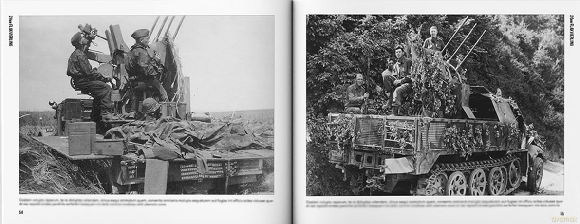 FLAK: German Anti-Aircraft Weapons - Tom Laemlein [KSIĄŻKA]