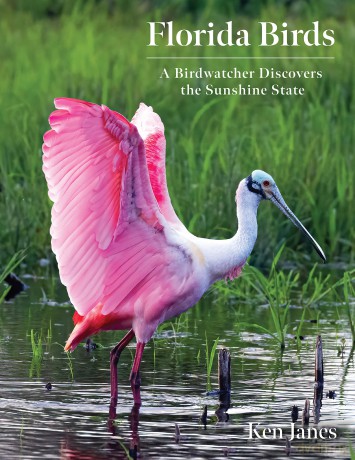 Florida Birds: A Birdwatcher Discovers the Sunshine State - Ken Janes [KSIĄŻKA]