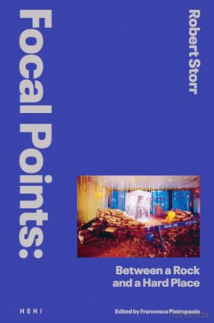 Focal Points: Between a Rock and a Hard Place: Race and Representation in the American Citadel of Modern Art - Robert Storr [KSIĄŻKA]