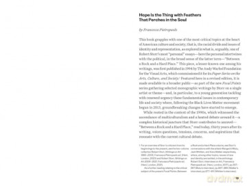 Focal Points: Between a Rock and a Hard Place: Race and Representation in the American Citadel of Modern Art - Robert Storr [KSIĄŻKA]