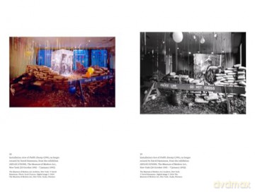 Focal Points: Between a Rock and a Hard Place: Race and Representation in the American Citadel of Modern Art - Robert Storr [KSIĄŻKA]