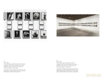 Focal Points: Between a Rock and a Hard Place: Race and Representation in the American Citadel of Modern Art - Robert Storr [KSIĄŻKA]
