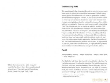 Focal Points: Between a Rock and a Hard Place: Race and Representation in the American Citadel of Modern Art - Robert Storr [KSIĄŻKA]