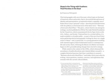 Focal Points: Between a Rock and a Hard Place: Race and Representation in the American Citadel of Modern Art - Robert Storr [KSIĄŻKA]