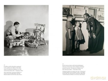 Focal Points: Between a Rock and a Hard Place: Race and Representation in the American Citadel of Modern Art - Robert Storr [KSIĄŻKA]