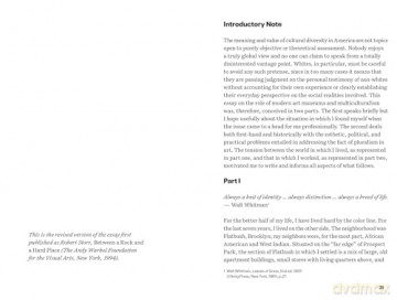Focal Points: Between a Rock and a Hard Place: Race and Representation in the American Citadel of Modern Art - Robert Storr [KSIĄŻKA]