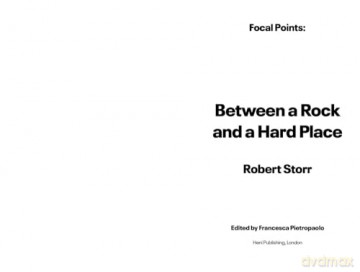 Focal Points: Between a Rock and a Hard Place: Race and Representation in the American Citadel of Modern Art - Robert Storr [KSIĄŻKA]