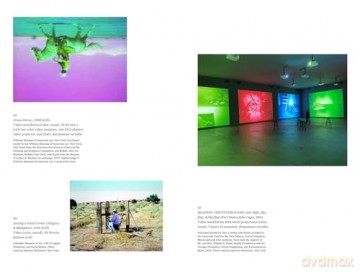 Focal Points: Bruce Nauman - Robert Storr [KSIĄŻKA]