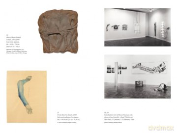 Focal Points: Bruce Nauman - Robert Storr [KSIĄŻKA]