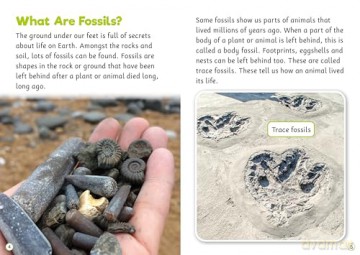 Fossils (BookLife Non-Fiction Readers) - Kirsty Holmes [KSIĄŻKA]