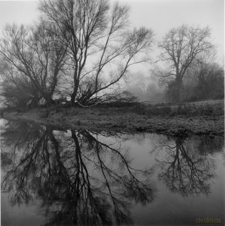 Fragile - Paul Hart [KSIĄŻKA]