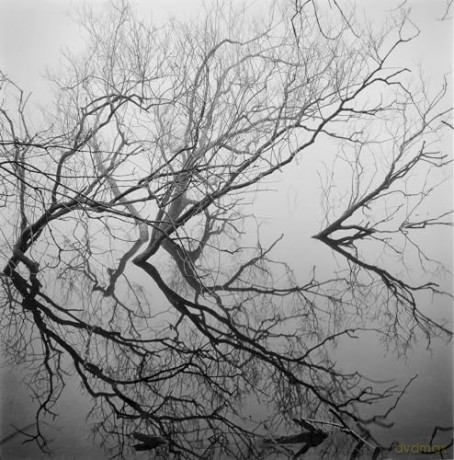 Fragile - Paul Hart [KSIĄŻKA]