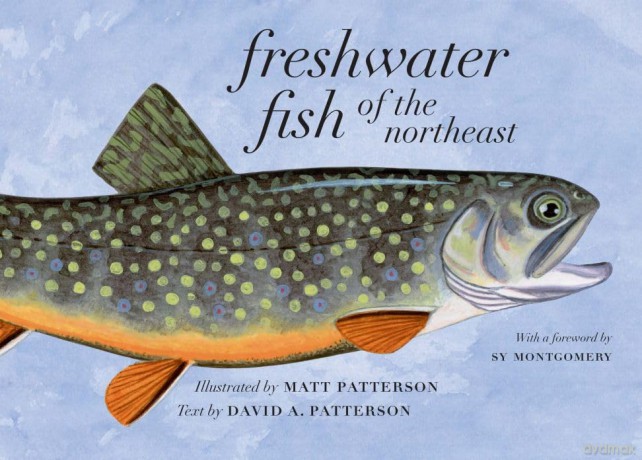 Freshwater Fish of the Northeast - David A Patterson [KSIĄŻKA]