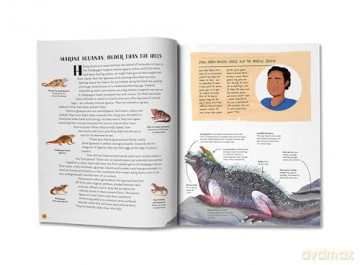 Galápagos Islands: The World's Living Laboratory - Karen Young Young [KSIĄŻKA]