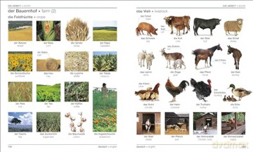 German English Bilingual Visual Dictionary (DK Bilingual Visual Dictionaries) - Dk [KSIĄŻKA]