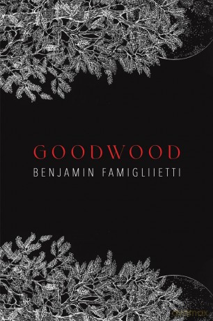 Goodwood - Benjam Famigliietti [KSIĄŻKA]