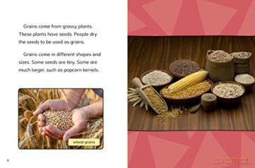 Grains Are Good for You! (Healthy Foods) - Gloria Koster [KSIĄŻKA]