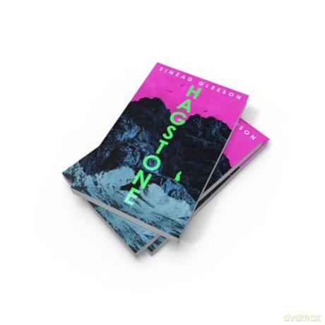 Hagstone: The instant Irish bestselling debut novel - 'I tore through it' David Nicholls - Sinead Gleeson [KSIĄŻKA]