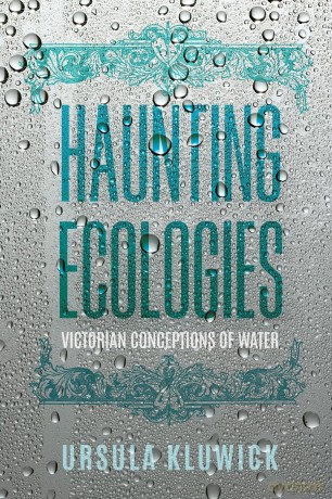 Haunting Ecologies: Victorian Conceptions of Water (Victorian Literature and Culture Series) [KSIĄŻKA]