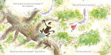 Hello French! Story Pack: Bilingual French-English Edition (Bilingual Stories) - Mary Risk [KSIĄŻKA]