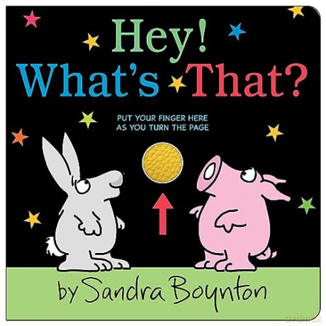 Hey! What's That (Boynton on Board (Sandra Boynton Board Books)) - Sandra Boynton [KSIĄŻKA]