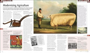 History of Britain and Ireland: The Definitive Visual Guide (DK Definitive Visual Histories) - Dk [KSIĄŻKA]
