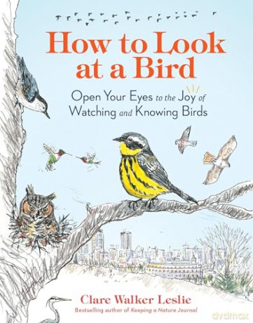 How to Look at a Bird: Open Your Eyes to the Joy of Watching and Knowing Birds - Clare Walker Leslie [KSIĄŻKA]
