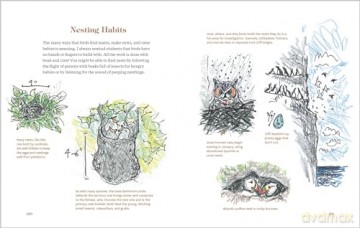 How to Look at a Bird: Open Your Eyes to the Joy of Watching and Knowing Birds - Clare Walker Leslie [KSIĄŻKA]