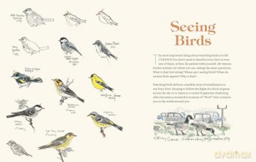 How to Look at a Bird: Open Your Eyes to the Joy of Watching and Knowing Birds - Clare Walker Leslie [KSIĄŻKA]