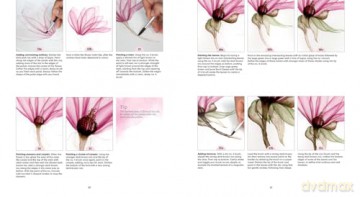 How to Paint Transparent Watercolour Flowers - Olga Koelsch [KSIĄŻKA]