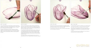 How to Paint Transparent Watercolour Flowers - Olga Koelsch [KSIĄŻKA]