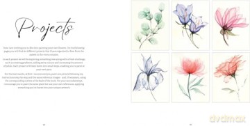 How to Paint Transparent Watercolour Flowers - Olga Koelsch [KSIĄŻKA]