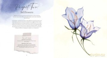 How to Paint Transparent Watercolour Flowers - Olga Koelsch [KSIĄŻKA]