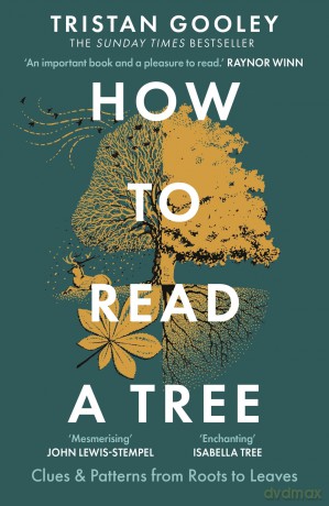 How to Read a Tree: The Sunday Times Bestseller - Tristan Gooley [KSIĄŻKA]
