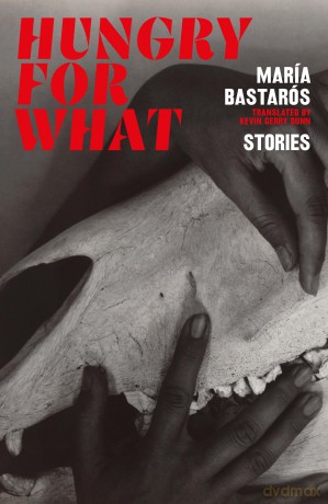 hungry for what: stories - Maria Bastaros [KSIĄŻKA]