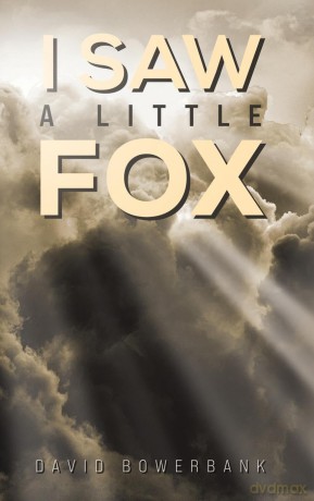 I Saw a Little Fox - David Bowerbank [KSIĄŻKA]