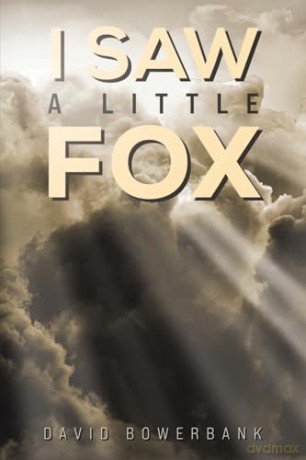 I Saw a Little Fox - David Bowerbank [KSIĄŻKA]