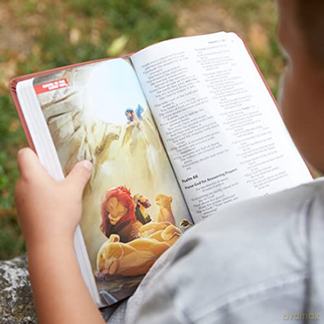 ICB, Holy Bible, Leathersoft, Purple: International Children's Bible [KSIĄŻKA]