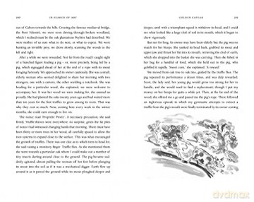 In Search of Art: Adventures and Discoveries - Edwin Mullins [KSIĄŻKA]