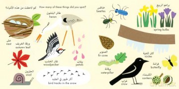 In the Park: Arabic: Bilingual Edition (Little Observers) - Clare Beaton [KSIĄŻKA]