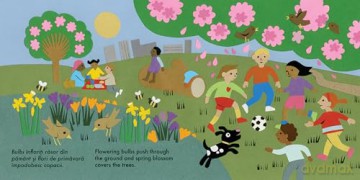 In the Park: Romanian: Bilingual Edition (Little Observers) - Clare Beaton [KSIĄŻKA]