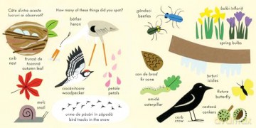 In the Park: Romanian: Bilingual Edition (Little Observers) - Clare Beaton [KSIĄŻKA]