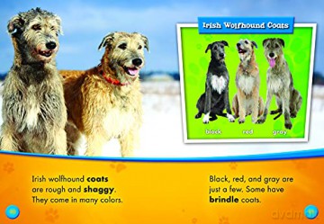 Irish Wolfhounds Irish Wolfhounds (Awesome Dogs) - Paige Polinsky [KSIĄŻKA]