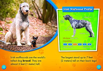 Irish Wolfhounds Irish Wolfhounds (Awesome Dogs) - Paige Polinsky [KSIĄŻKA]