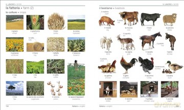 Italian English Bilingual Visual Dictionary (DK Bilingual Visual Dictionaries) - Dk [KSIĄŻKA]