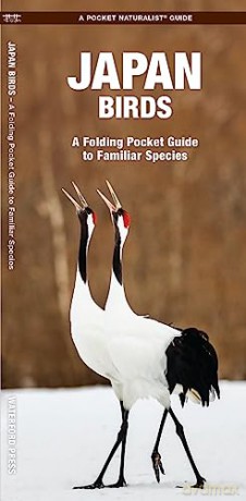 Japan Birds: A Folding Pocket Guide to Familiar Species (A Pocket Naturalist Guide) - Kavanagh James [KSIĄŻKA]