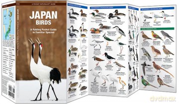 Japan Birds: A Folding Pocket Guide to Familiar Species (A Pocket Naturalist Guide) - Kavanagh James [KSIĄŻKA]